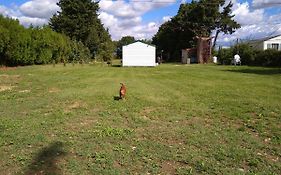 Camping chez l'habitant
